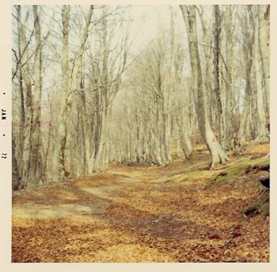 Lacrista in inverno - 1972